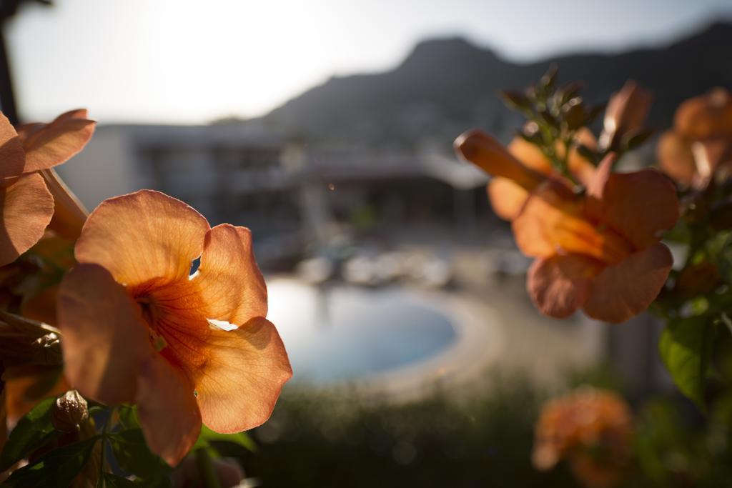 Genc Hotel Bodrum Rum bild